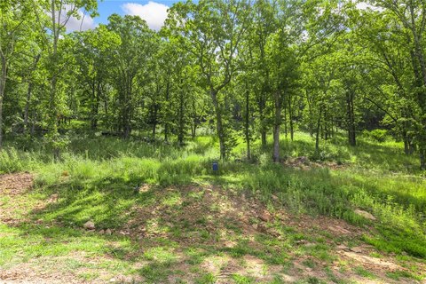 LAND - Harrison, AR