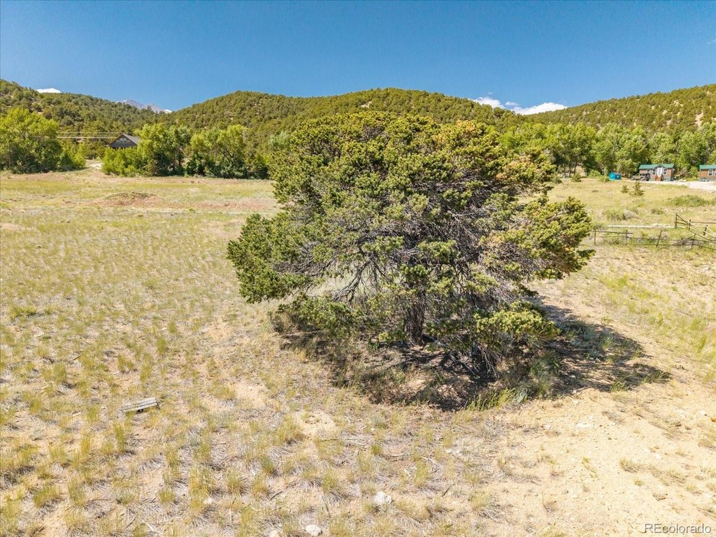 Picture 17