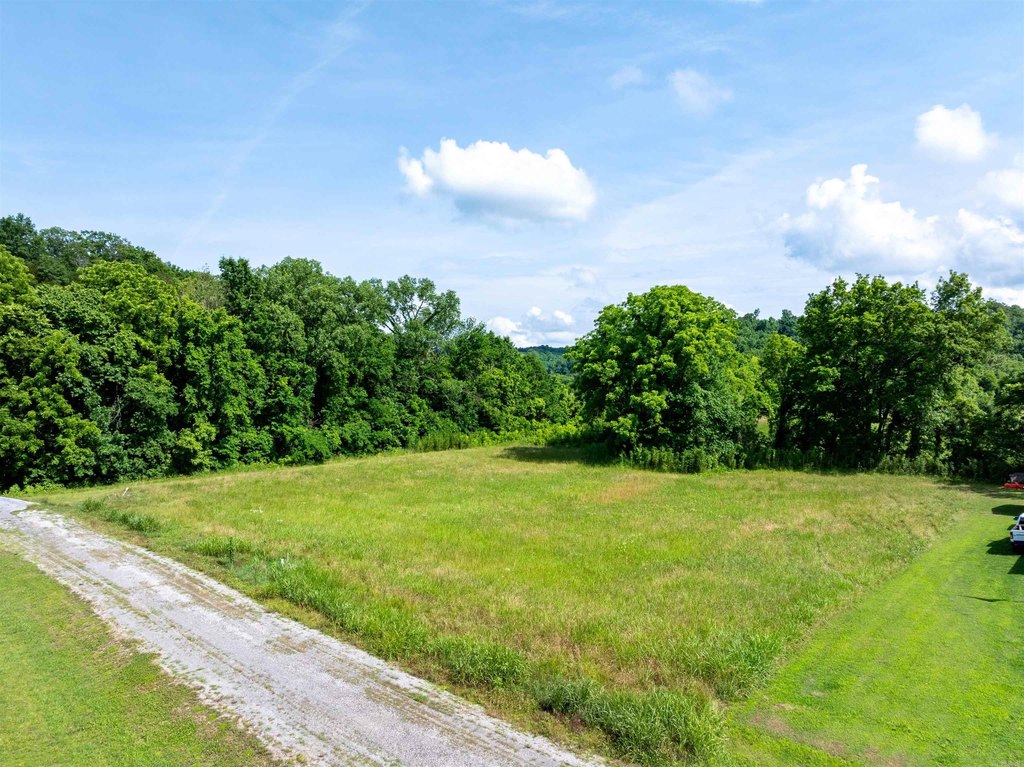 Picture 6