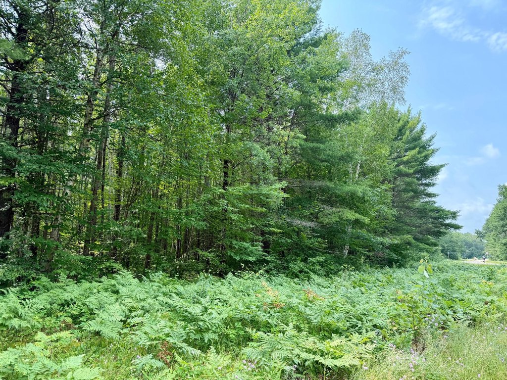 Picture 8