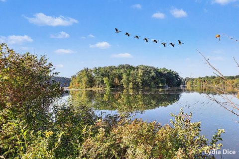 Land, Lowell, MI