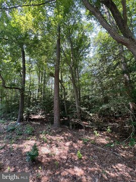 LAND - MILTON, DE