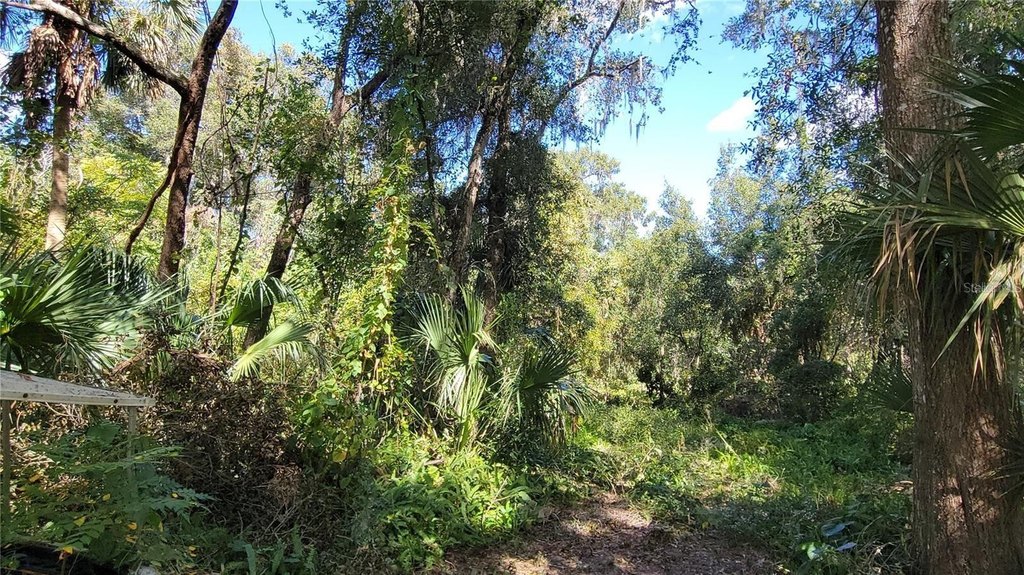 Picture 5
