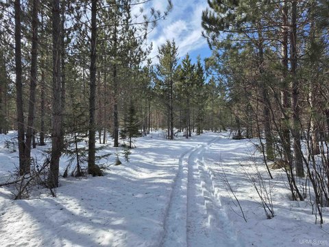 Marquette County 40-Acre Land Parcel