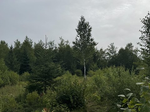Land, Trescott Twp, ME