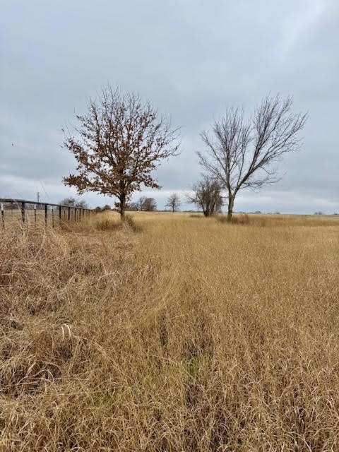 Picture 19