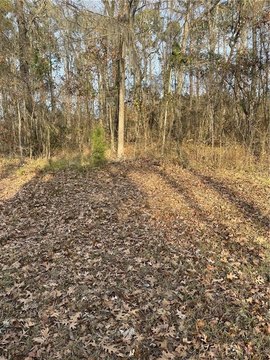 Land, Goldonna, LA