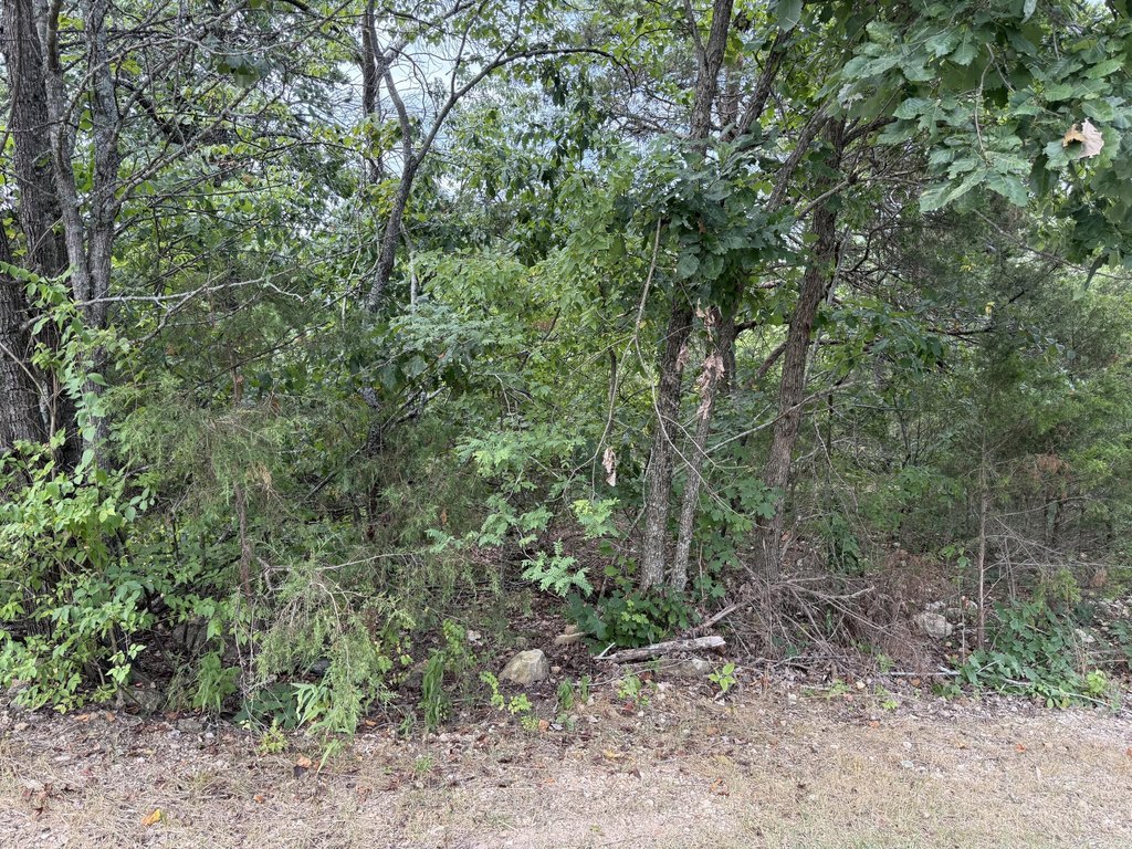 Picture 5