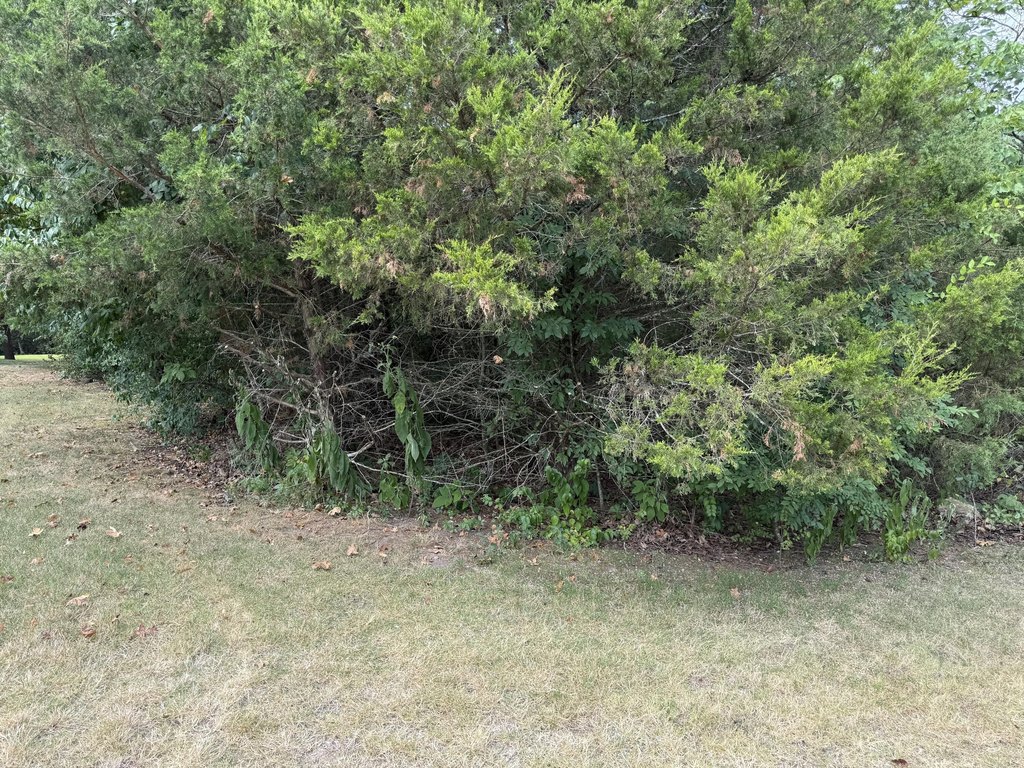 Picture 4