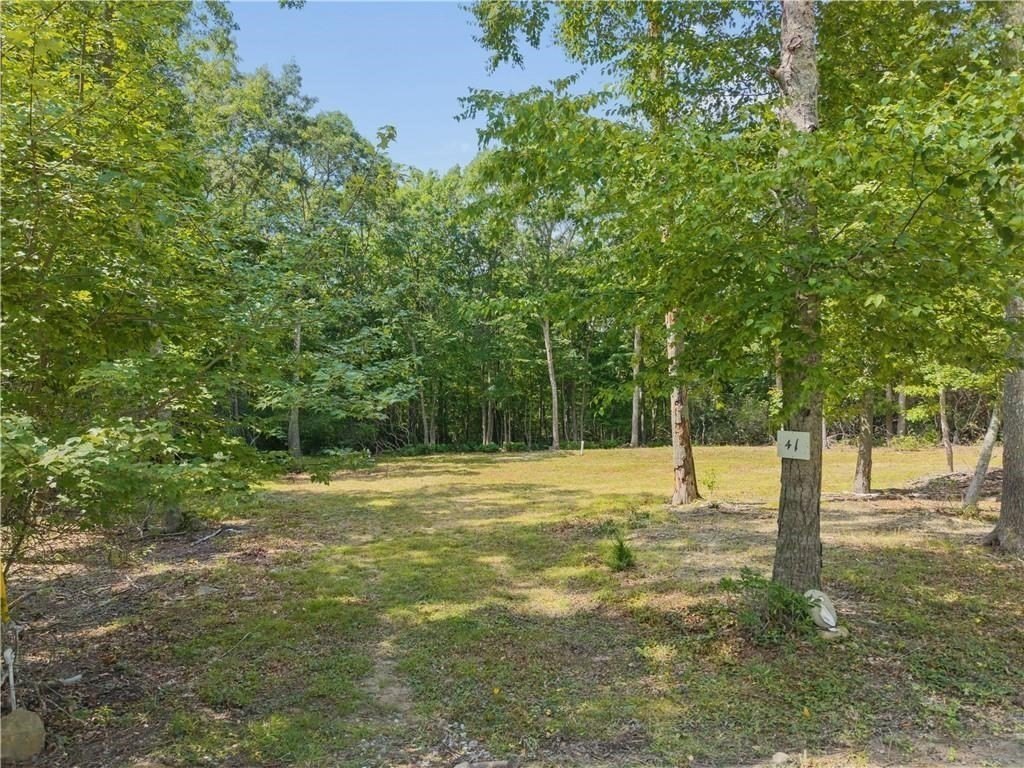 Picture 25