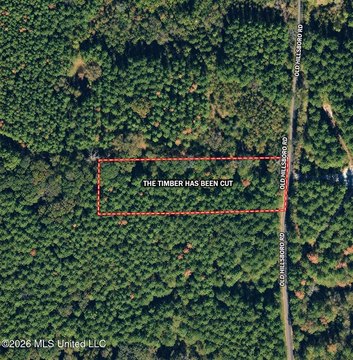 Land, Forest, MS
