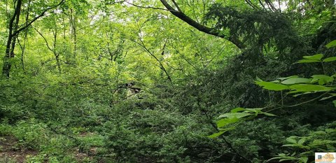 Bonnieville Acreage in Peaceful Setting