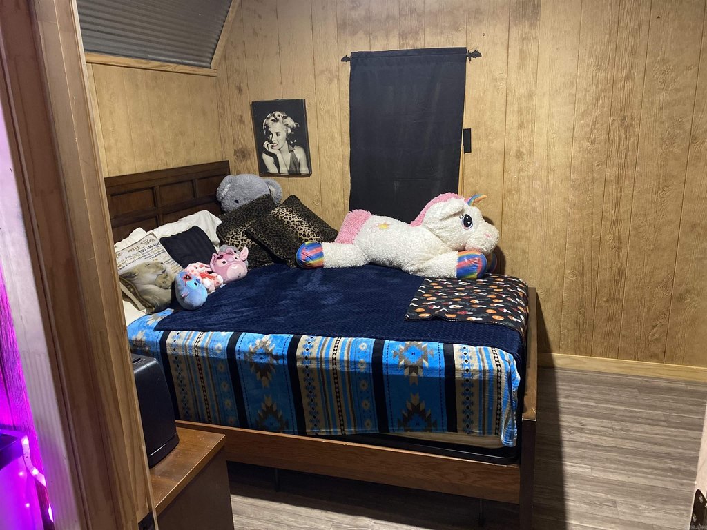 Picture 5