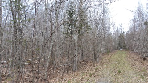 Large Rural Lot in Dedham