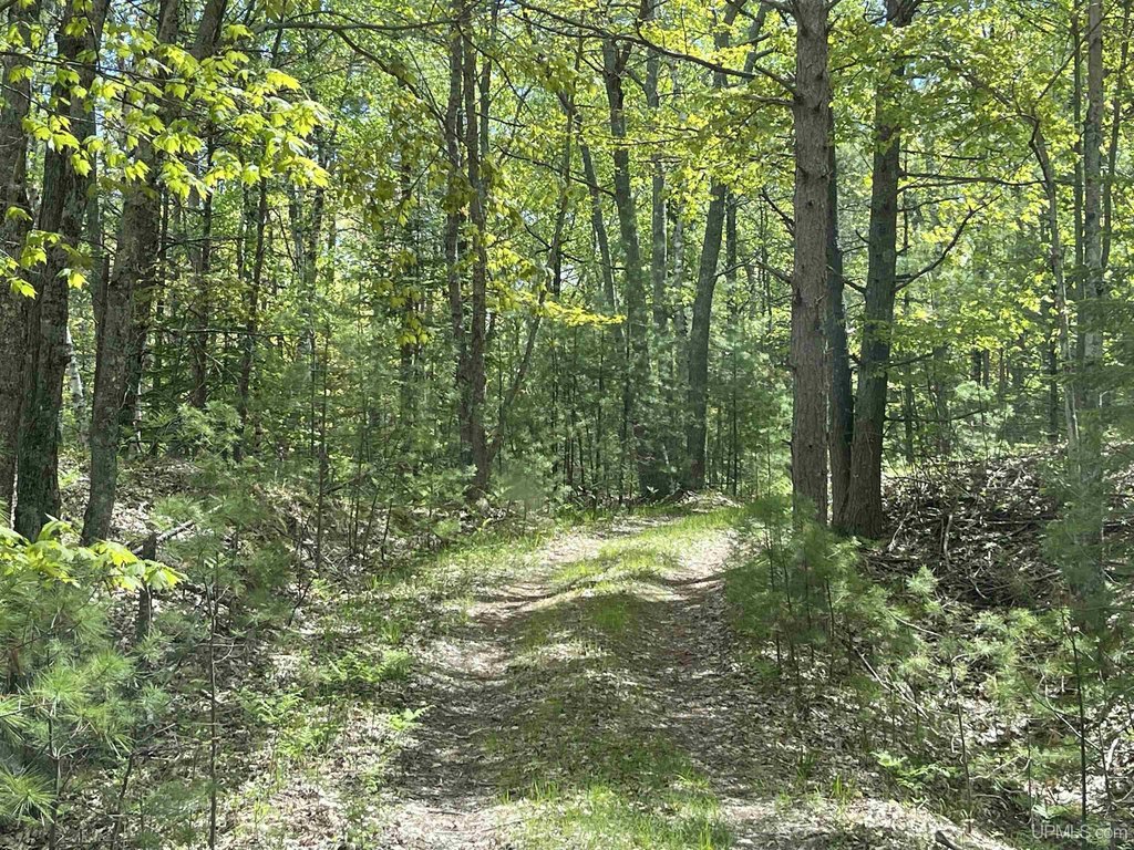 Picture 49