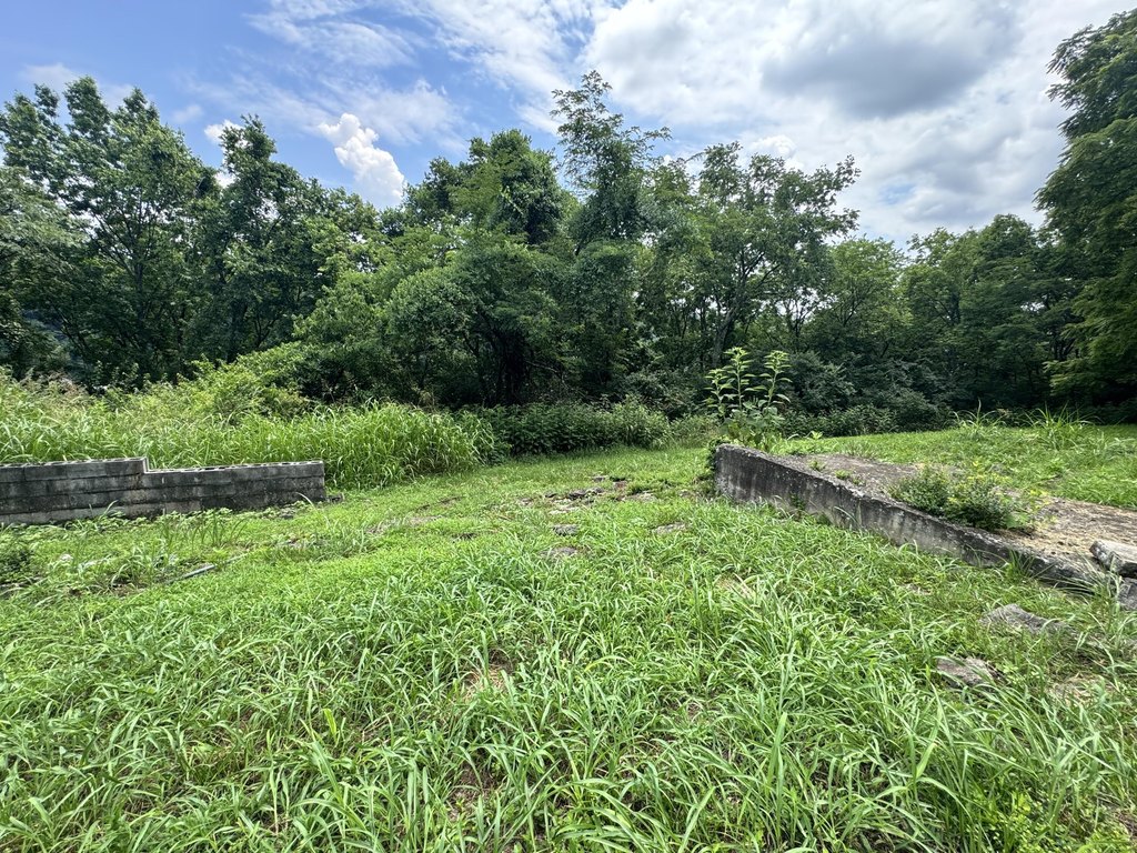 Picture 5