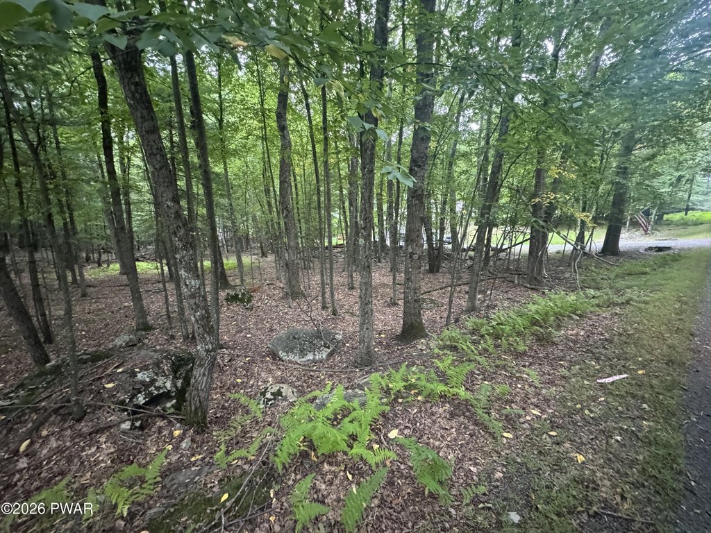 Picture 12