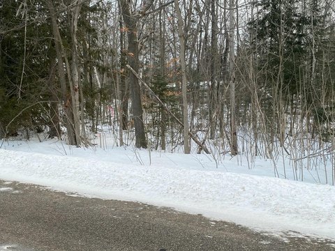 Land Near Mackinac Island Ferries