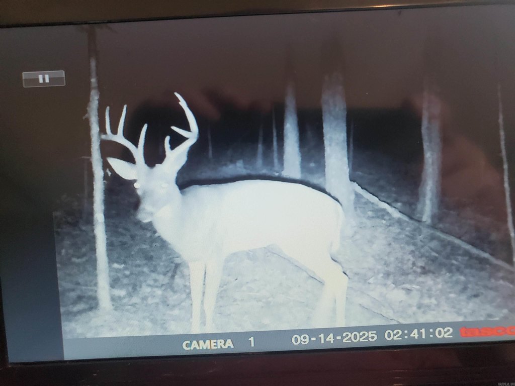 Picture 10