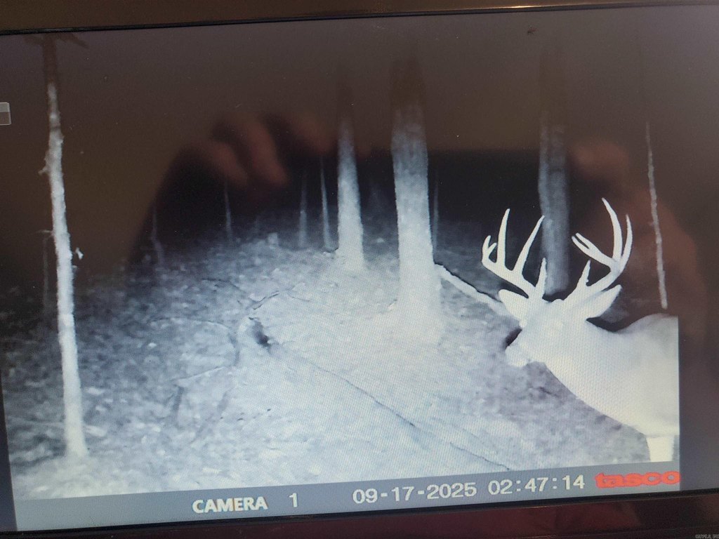 Picture 14