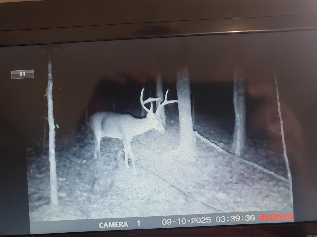 Picture 23
