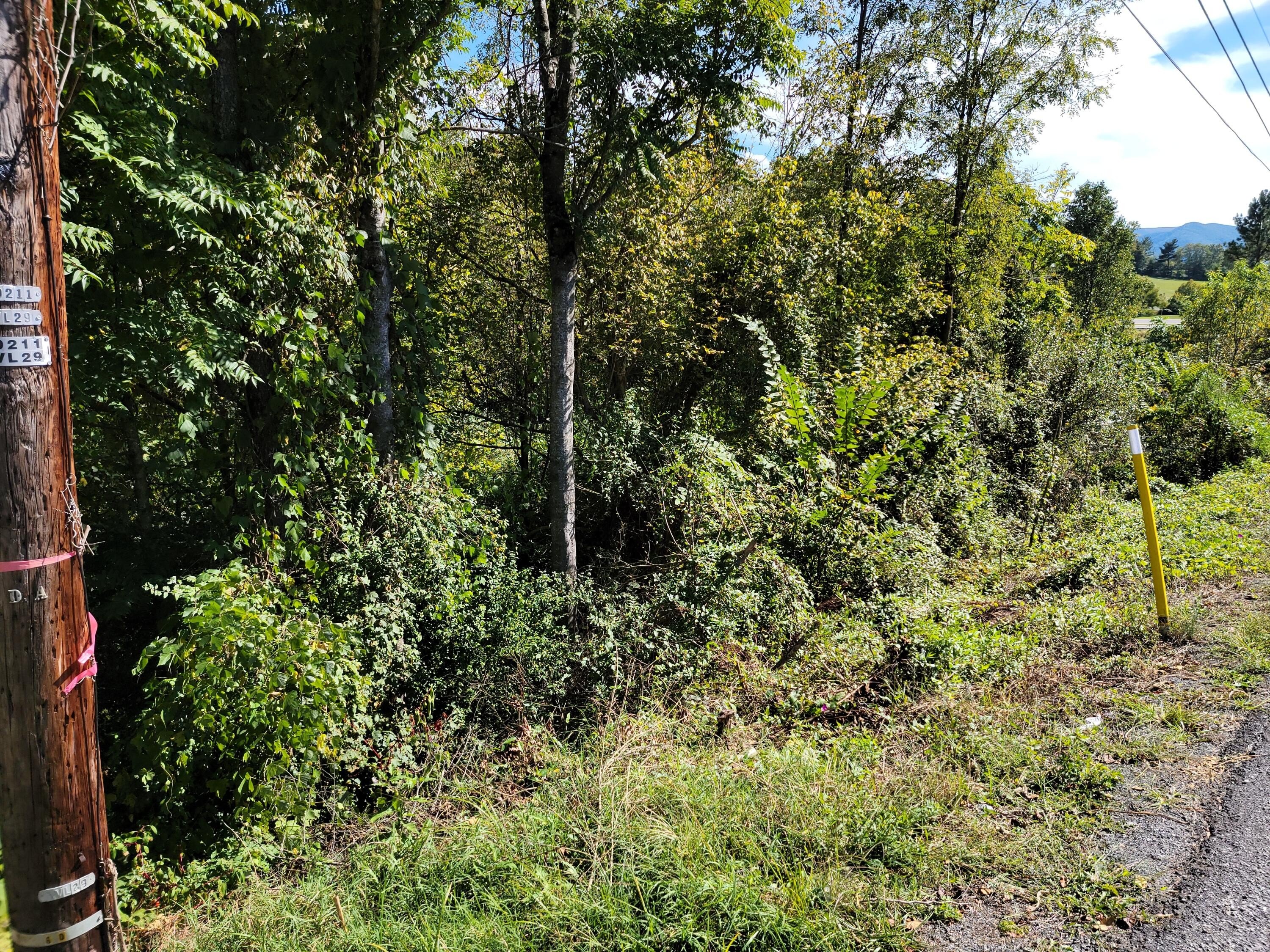 Residential Lot in Rivermont Heights