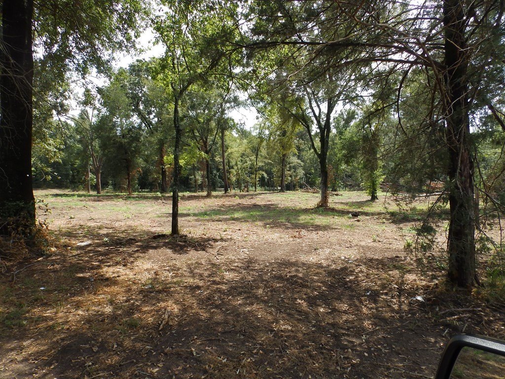 Picture 15