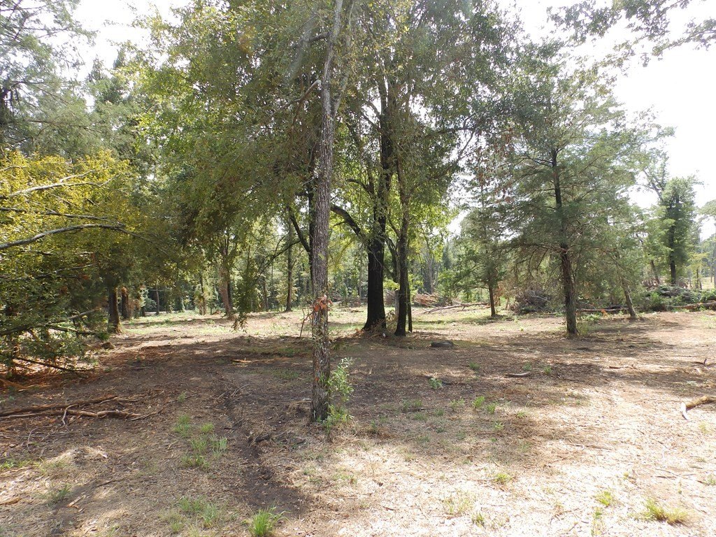 Picture 14