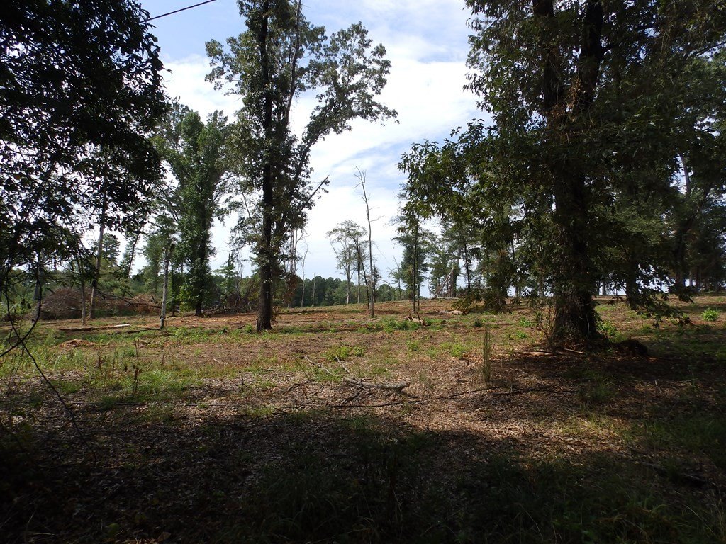 Picture 19