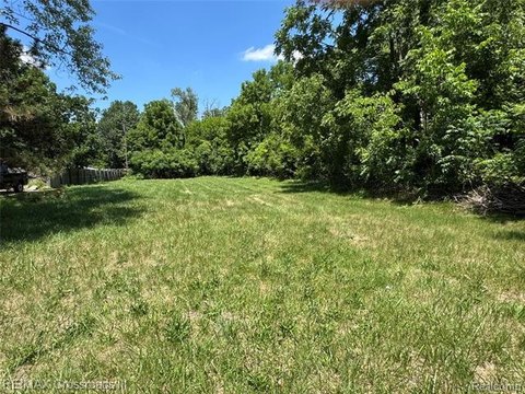 LAND - Van Buren Twp, MI