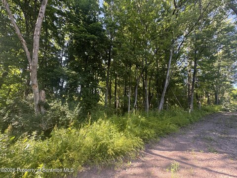 Two Acre Wooded Lot