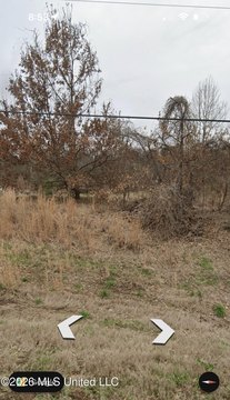 Lake Cormorant Land Opportunity