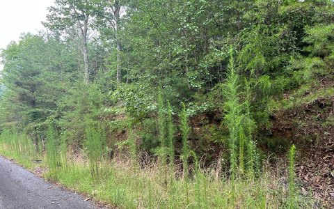 Two Acre Wooded Homesite