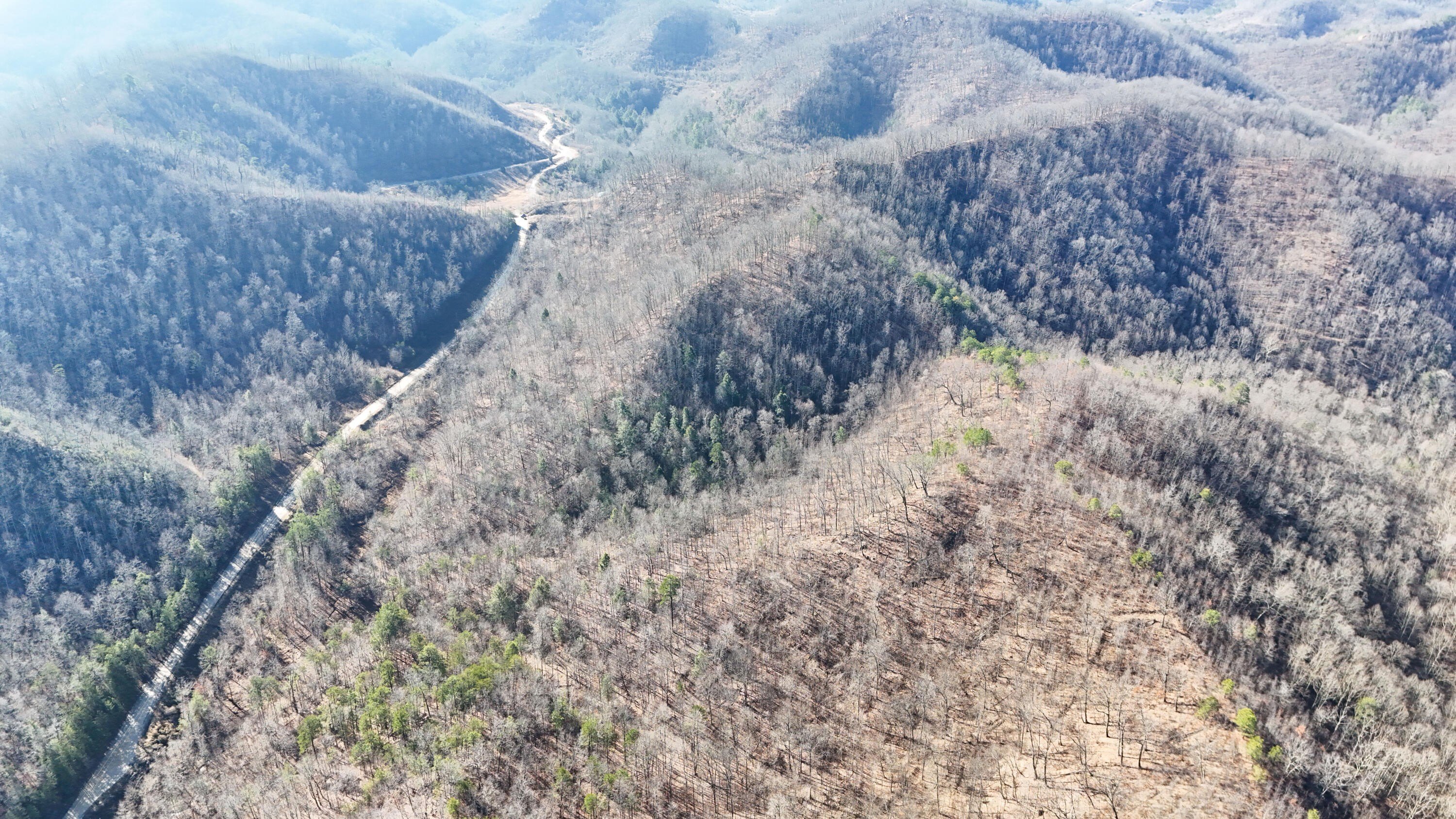 42 Acres Hunting/Recreation Land