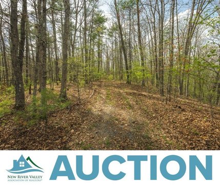 Bath County Mountain Land Auction