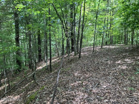 Land, Murphy, NC