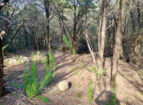 Residential Lot in Comanche Harbor