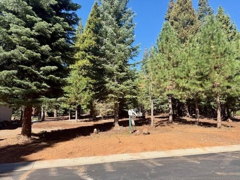 Lake Almanor Homesite in Foxwood