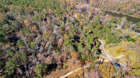 6.64 Acres Near Savannah River