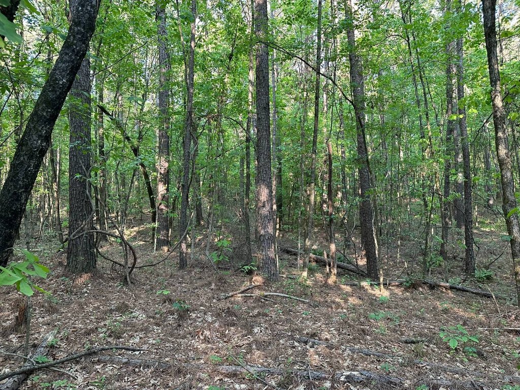 Picture 19