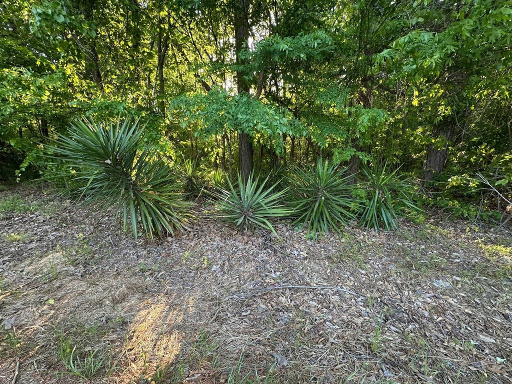 Picture 5