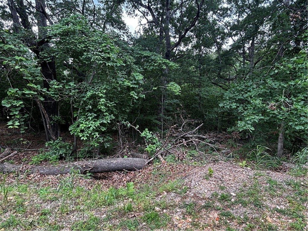 Picture 5