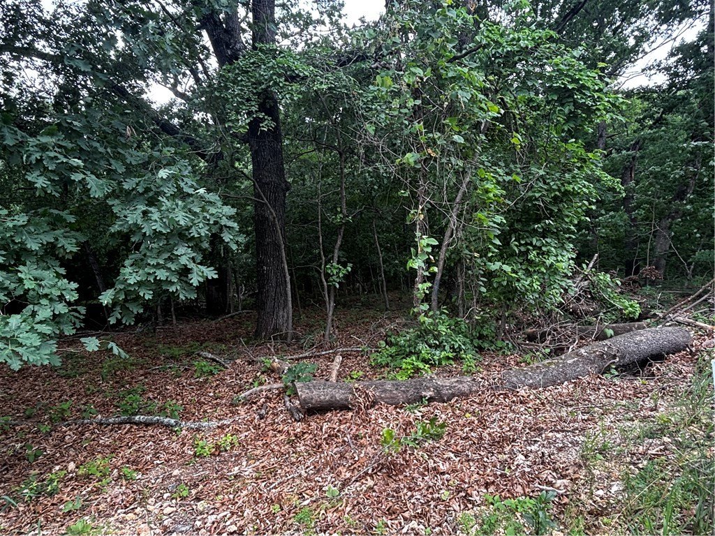 Picture 6