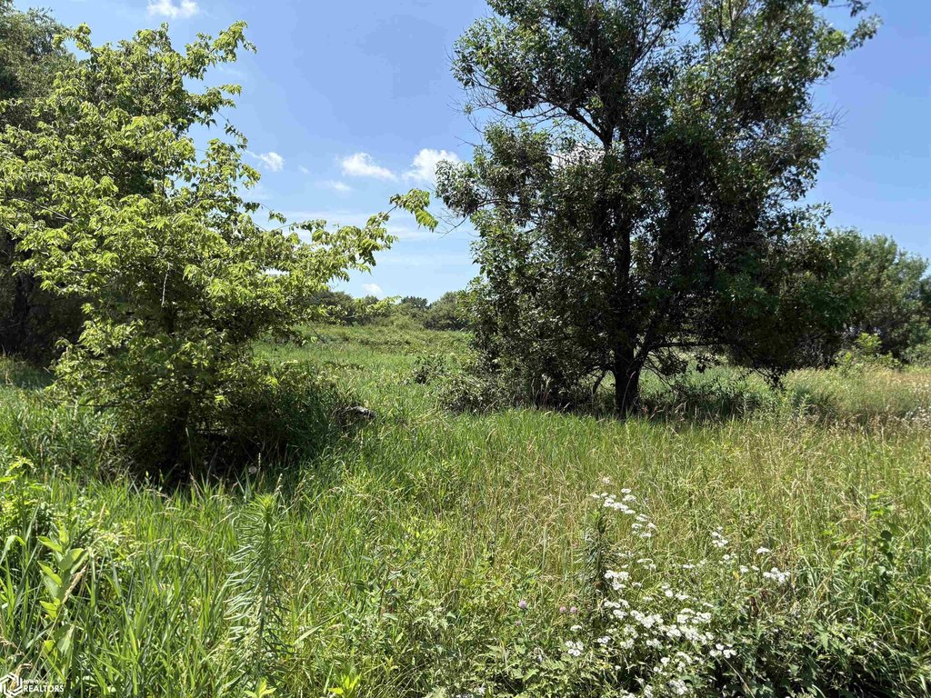 Picture 18