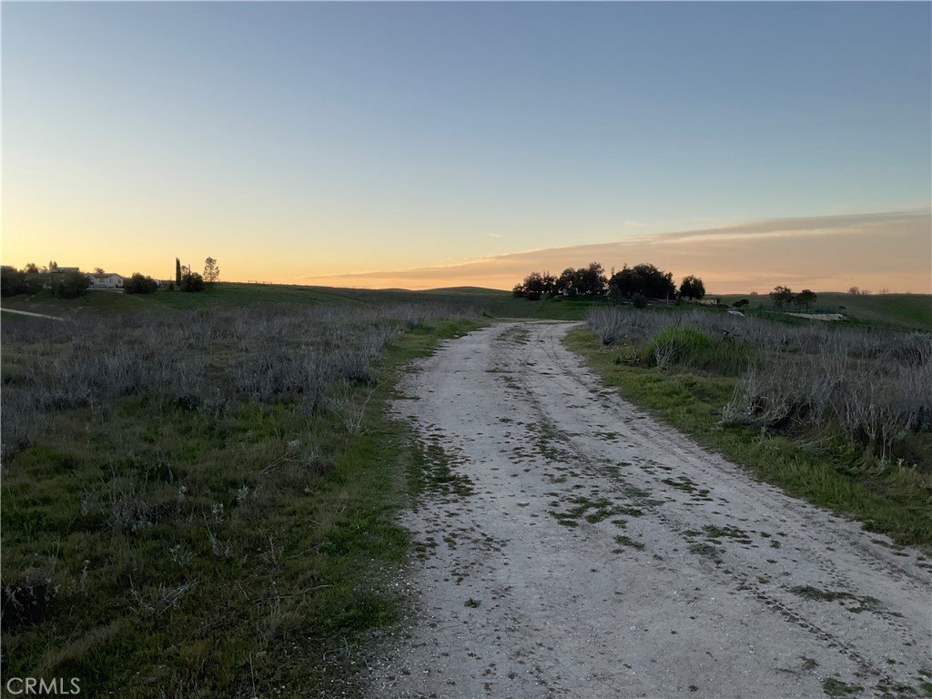 Picture 16