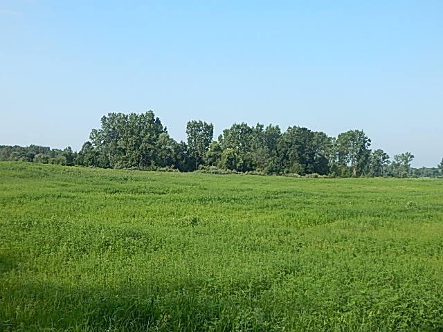 68 Acres Tillable Land For Sale