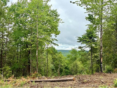 Surveyed Lot in 13-Lot Subdivision