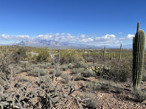 Tucson Land with Mountain Views