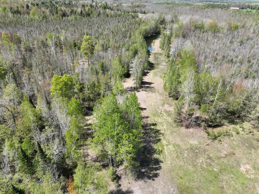 Picture 22