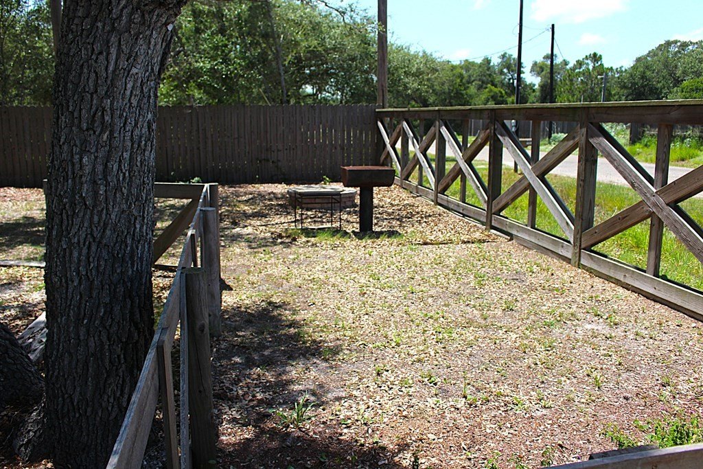 Picture 26